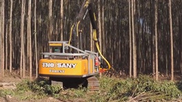 Sany Excavator with Harvesting Head